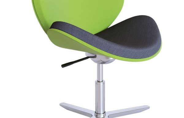 Oyster  Chair with 4 Star Base